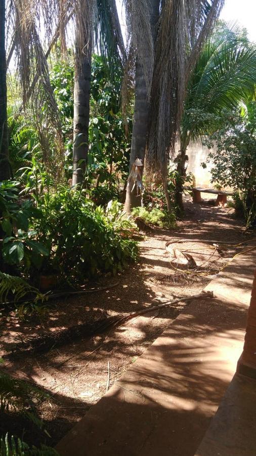 Casa Bella Cedros Villa โอลิมเปีย ภายนอก รูปภาพ